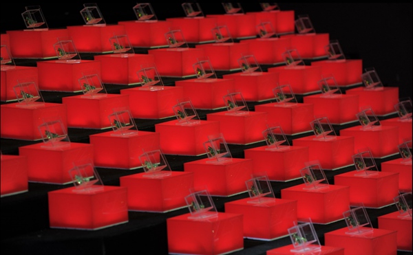 《足球解说大会》首期开播 “另类”解说火爆舞台