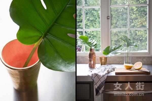 玻璃花器▲美哭你的玻璃花器 感受透明的世界