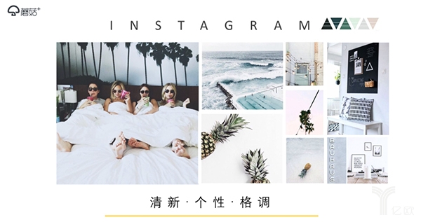 蘑菇加发布首款拎包入住产品“INS”，为年轻一代消费者打造理想家