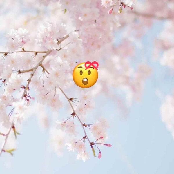 iPhone隐藏表情符号Emoji：搜寻这几个关键字就能打出来！多一步骤还能戴上Kitty蝴蝶结♥