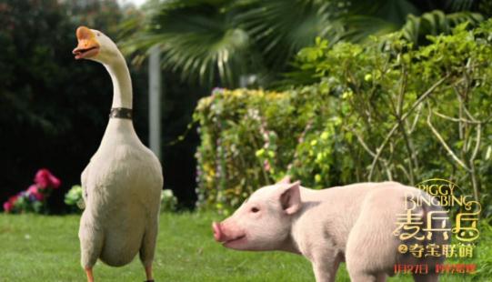 《麦兵兵之夺宝联“萌”》高上座率被赞正能量