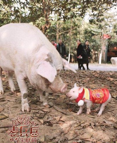 《麦兵兵之夺宝联"萌"》多重看点引爆寒假档