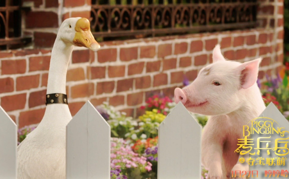 《麦兵兵之夺宝联“萌”》高上座率被赞正能量