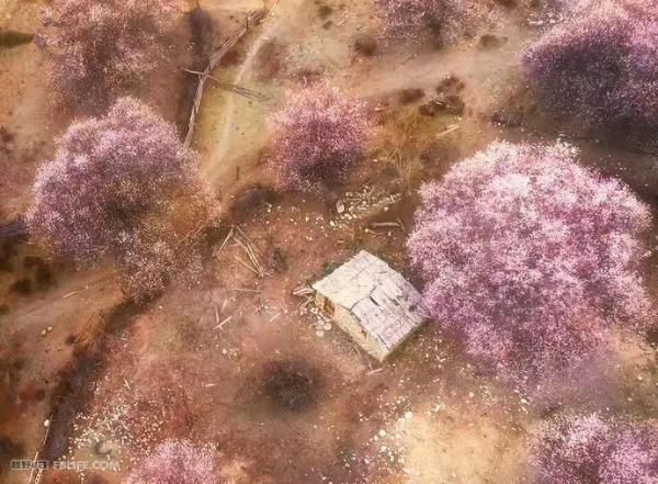 我是燕七，这是我大学毕业后在越野e族的第二年……