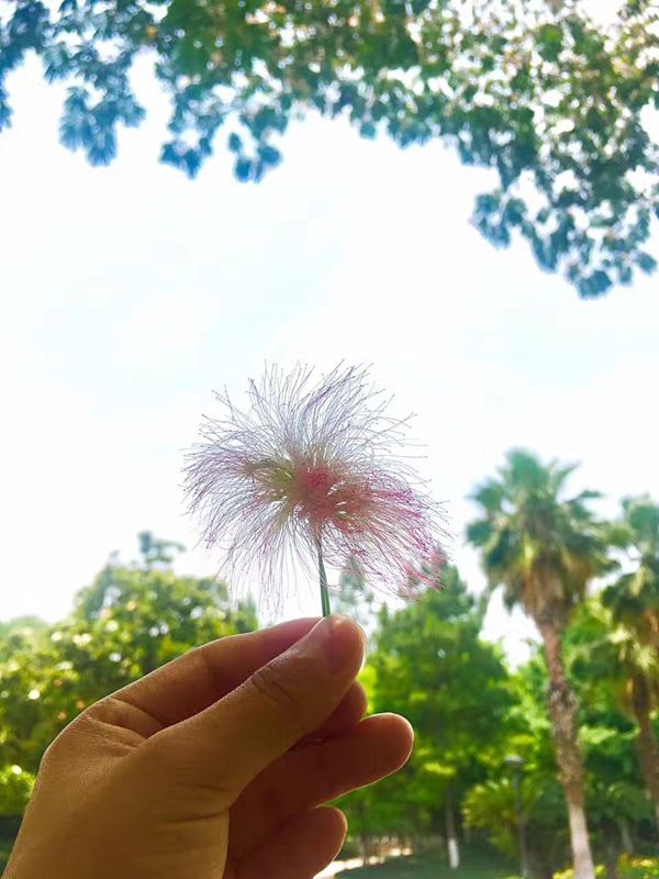 我是燕七，这是我大学毕业后在越野e族的第二年……