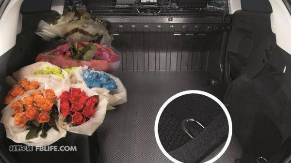 合理运用两厢车优势 福特嘉年华货运版亮相