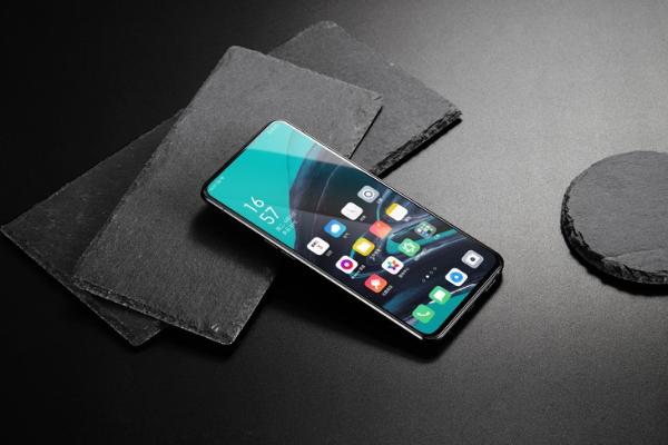 国庆七天乐之萌宠大作战 OPPO Reno2无惧抖动