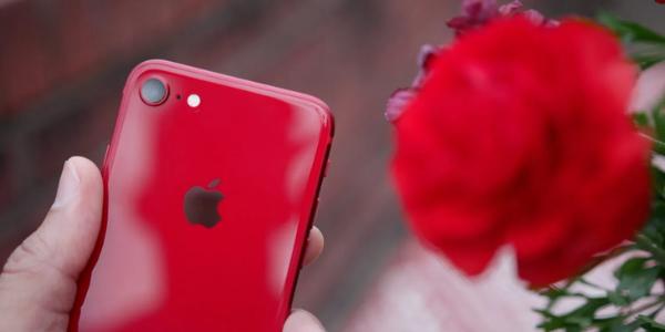 iPhone SE2本尊实为iPhone 9？售价2字开头