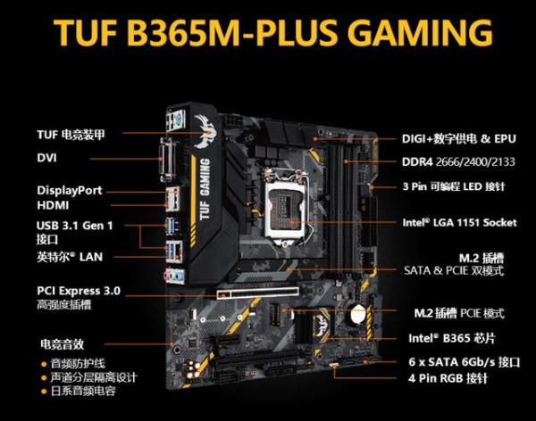 价格亲民 性能却很强悍 华硕B365M-PLUS GAMING主板售价649元