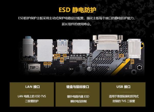 价格亲民 性能却很强悍 华硕B365M-PLUS GAMING主板售价649元