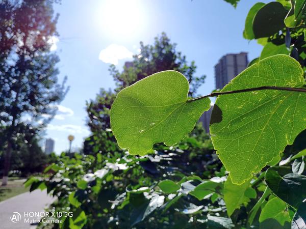荣耀X10评测体验：同价位5G手机，难觅出其右者！