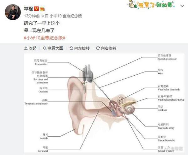 小米或有新耳机?原理为骨传导