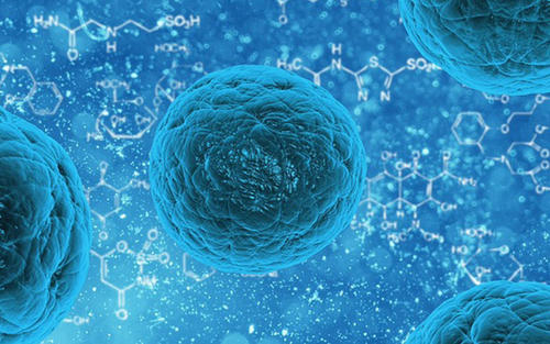 《自然》：干细胞人肺模型可模拟新冠病毒感染_