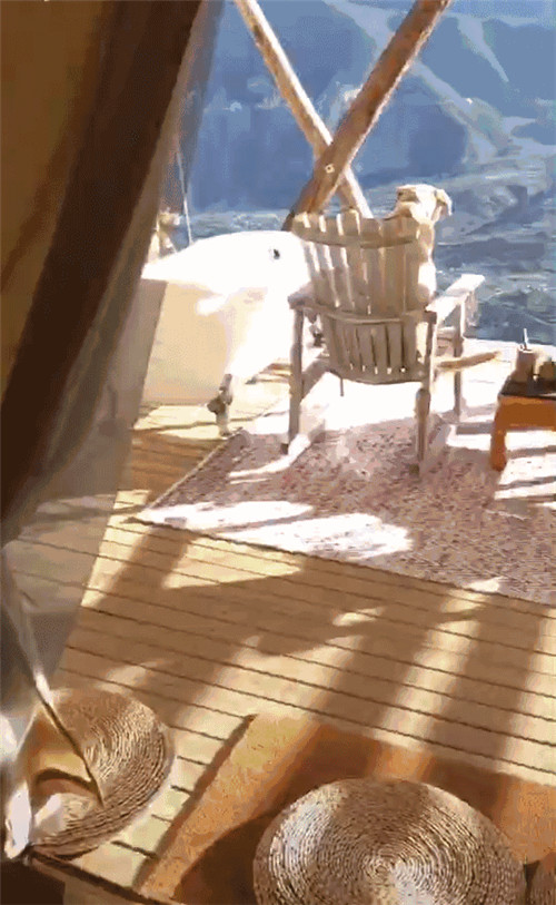 抖音这么火 酒店真的要错过这个风口吗？