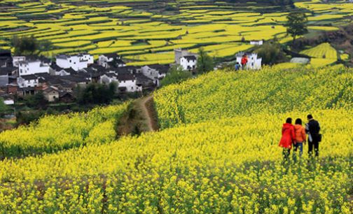 今年春季假期国内旅游收入将达1677亿元