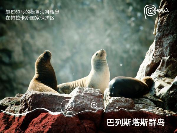 秘鲁在中国一线城市路演 加码中国出境游市场