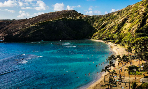 旅企启动夏威夷火山喷发应急方案