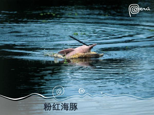 秘鲁在中国一线城市路演 加码中国出境游市场