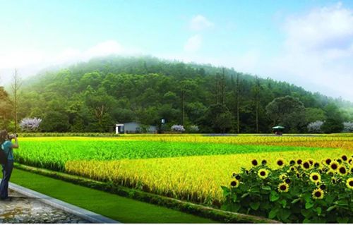 宣城亲心谷君澜度假酒店6月开业