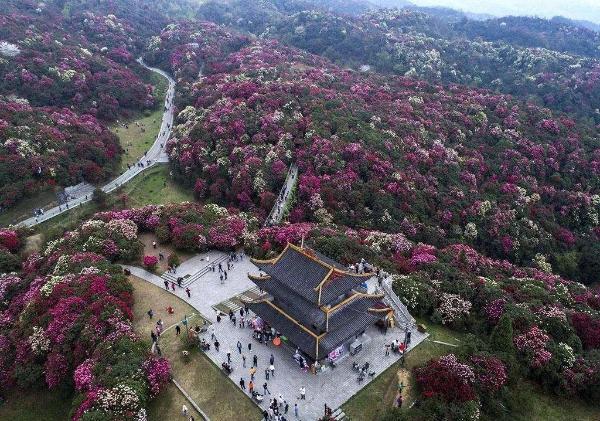 贵州省最具影响力十大景区：黄果树瀑布、安顺龙宫、毕节百里杜鹃获前三名