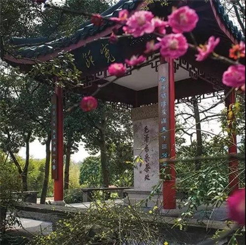 '老干部'遇上'新时代'国宾馆的前世与今生【寻礼】