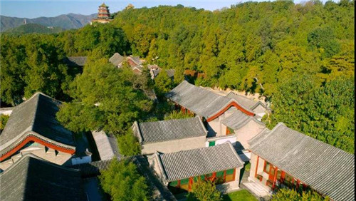 一觉醒来房间里几十个兵马俑 地域文化牌该怎么打?