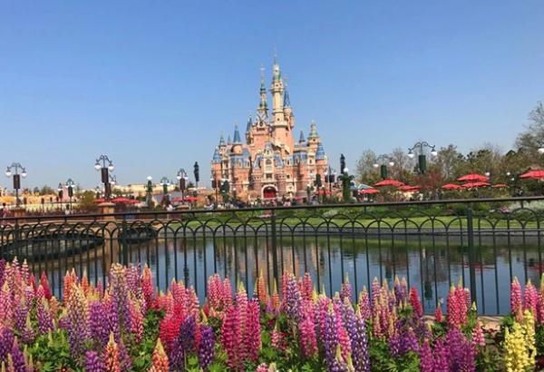 上海迪士尼让中国同行学到哪些门道？5位大咖分享考察心得