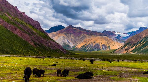 西藏建设交通旅游大数据中心 满足旅游出行需求