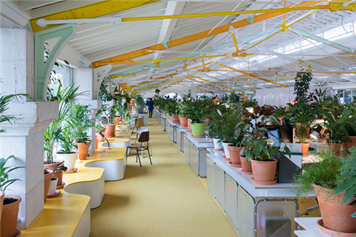 搬来1000株植物 共享办公行业会刮起绿色旋风么?