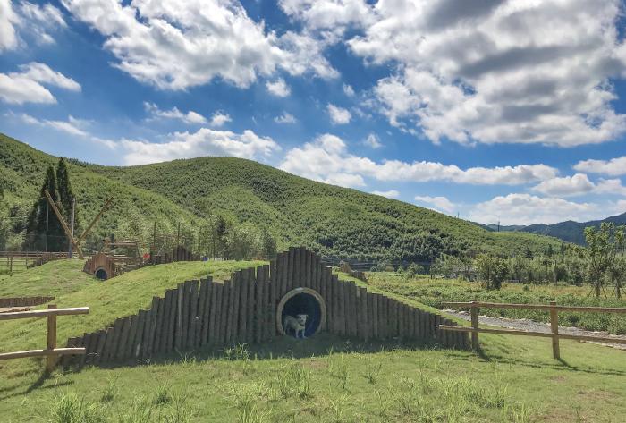 莫干山的困局真的无解吗？