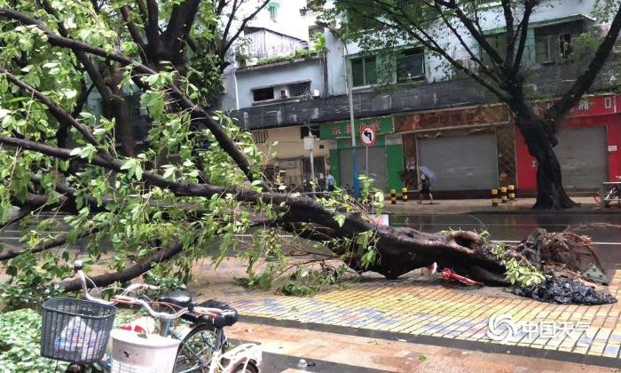 强台风“山竹”肆虐广东 放倒树木 摧毁工棚