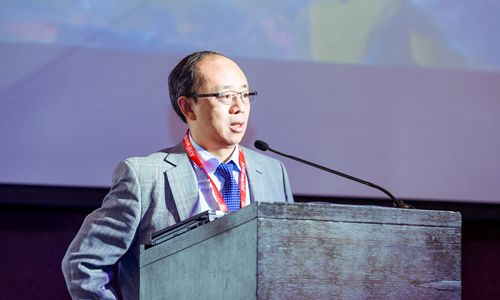政府力量 对特色小镇战略定位新认识