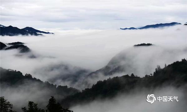 又到巴山红叶时