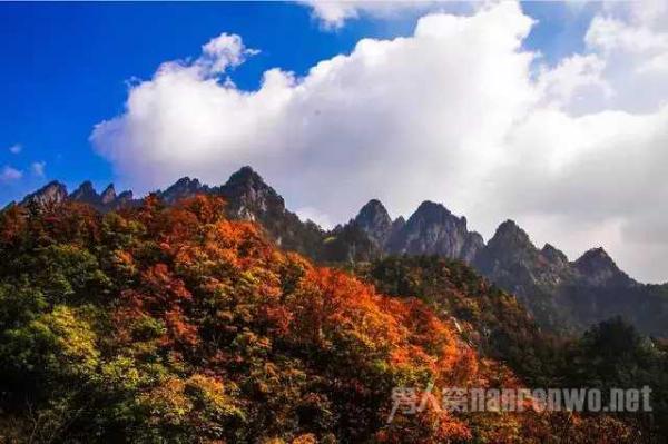 秋季最美的五条自驾路线 让你看遍绝美秋色