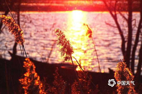 哈尔滨：太阳岛落日红透天