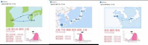 百万中国游客赴日本赏樱旅游 消费将超100亿