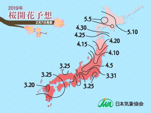 百万中国游客赴日本赏樱旅游 消费将超100亿