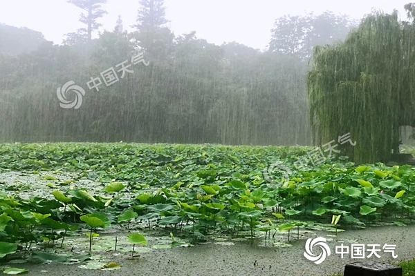 安徽江淮之间入梅 明后天沿江江北有大到暴雨局部大暴雨