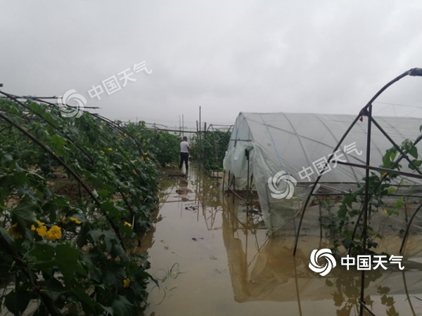 江西进入降水集中期 南昌宜春等地大到暴雨“不下线”
