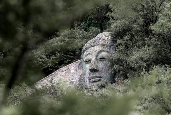 慈善寺： 京西古刹，百年香会