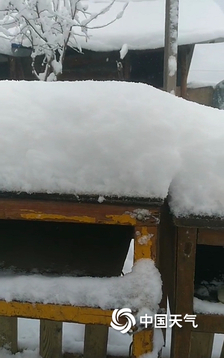 冷空气发威！内蒙古多地迎降雪 大地一片白茫茫