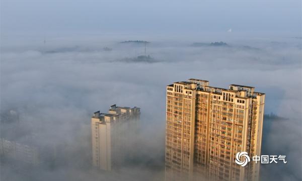 大雾笼罩四川资阳 城市如在云端