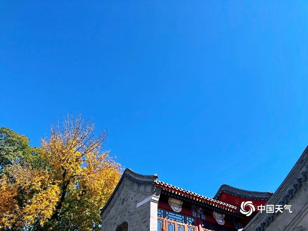 北京“通透蓝”入画来 美丽秋景令人心旷神怡