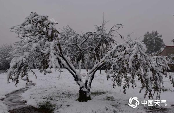 甘肃多地雨雪现身局地暴雪 多处高速路段受影响实施临时管制