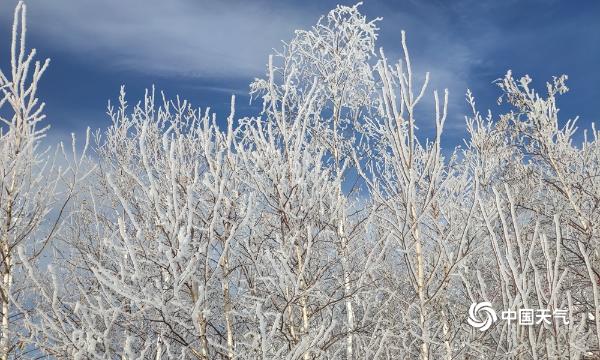 内蒙古吉林等地出现雾凇天气 被冰晶树挂装点成“银白世界”