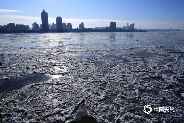 哈尔滨松花江开启“冰封模式”  气势磅礴蔚为壮观