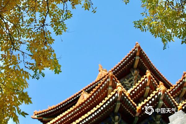 满园秋色！北京故宫筒子河畔秋意盎然