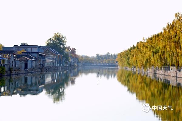 满园秋色！北京故宫筒子河畔秋意盎然