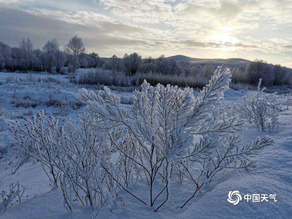 内蒙古图里河现雪淞景观 阳光下银光闪烁