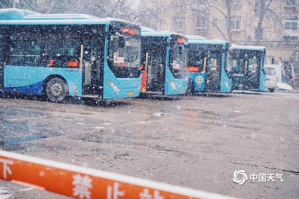 山东烟台今迎降雪 雪花飞舞披银装